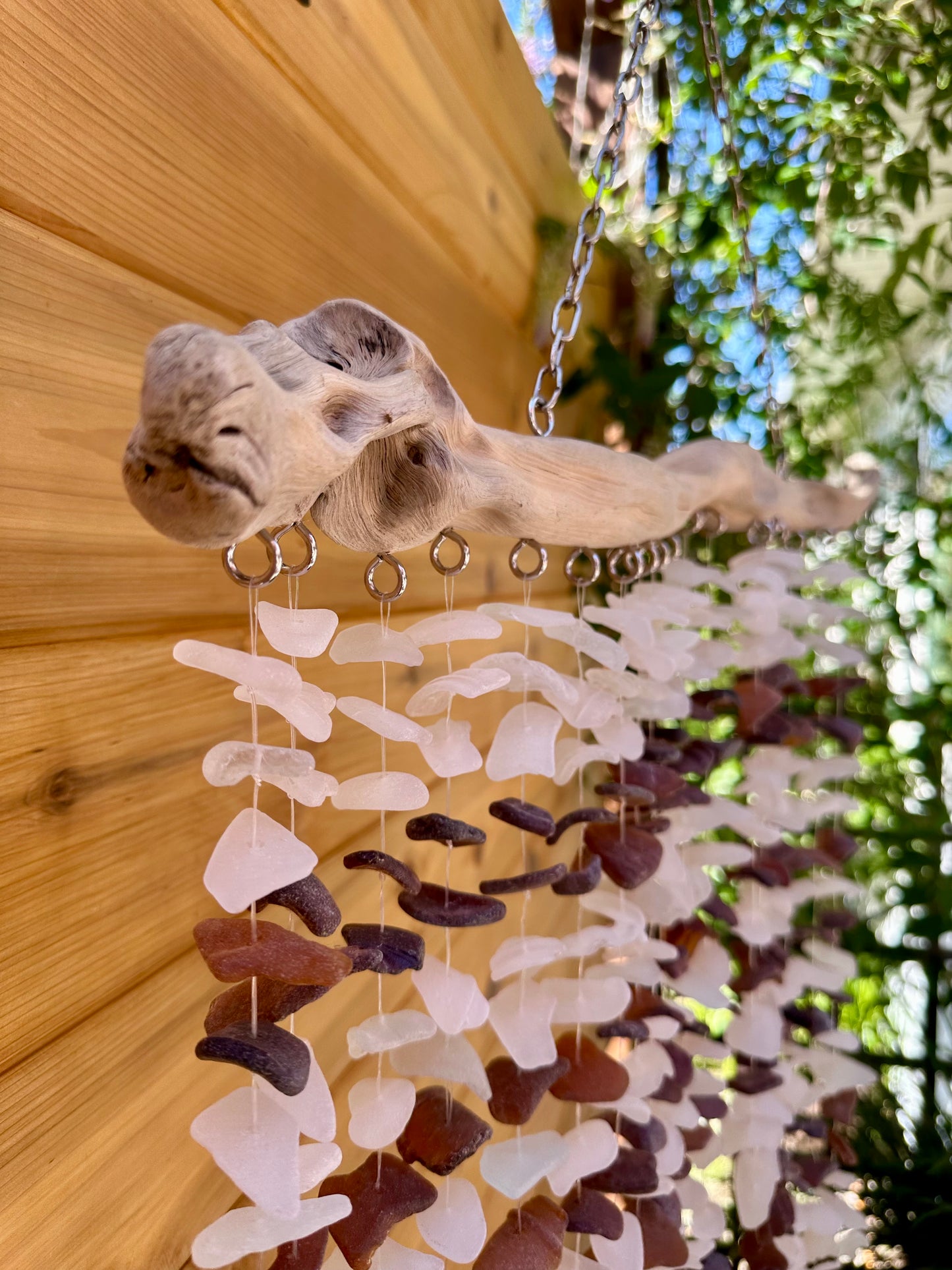 White and Brown Multi Strand on a Truly Beautiful Piece of Unique Driftwood
