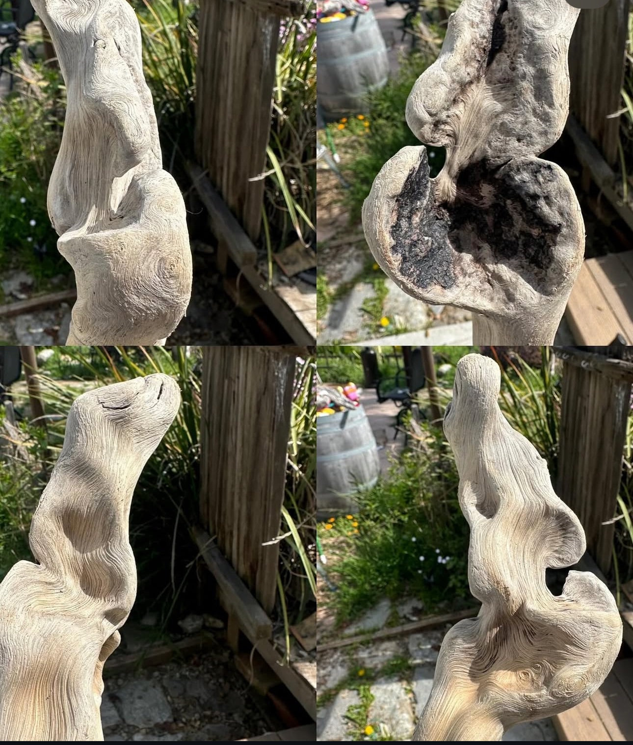 White and Brown Multi Strand on a Truly Beautiful Piece of Unique Driftwood