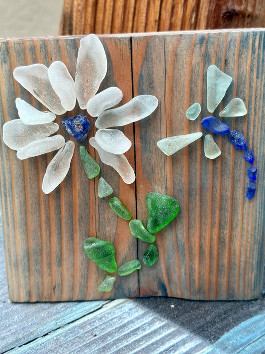 Flower and Dragonfly