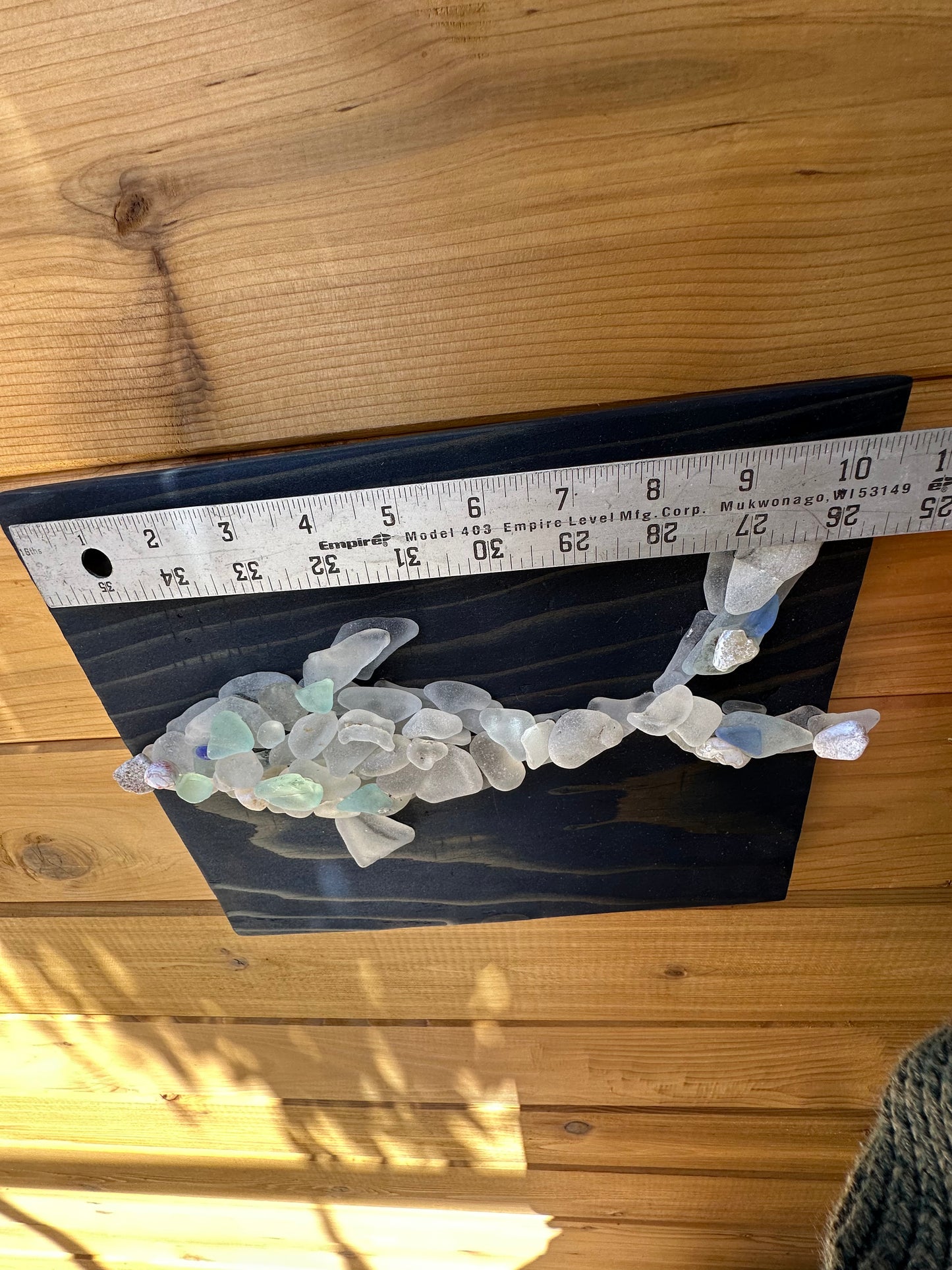 Dolphin Wall Art