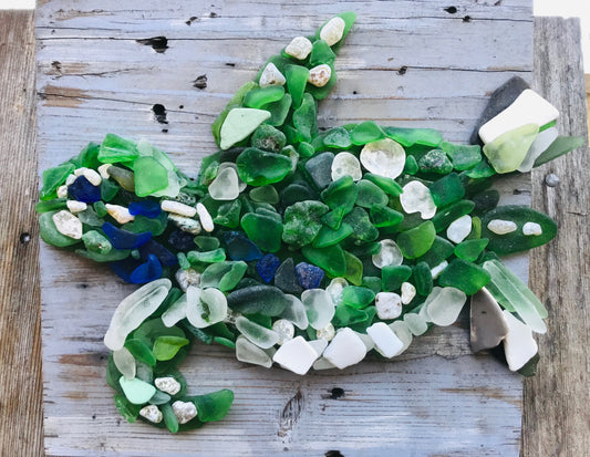 Sea Turtle