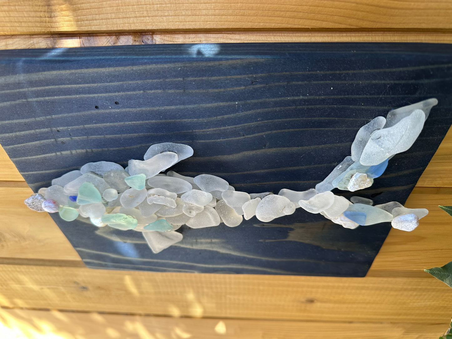Dolphin Wall Art
