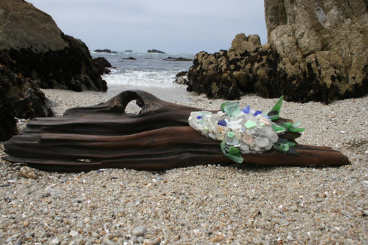 Sea Turtle on Finished Driftwood
