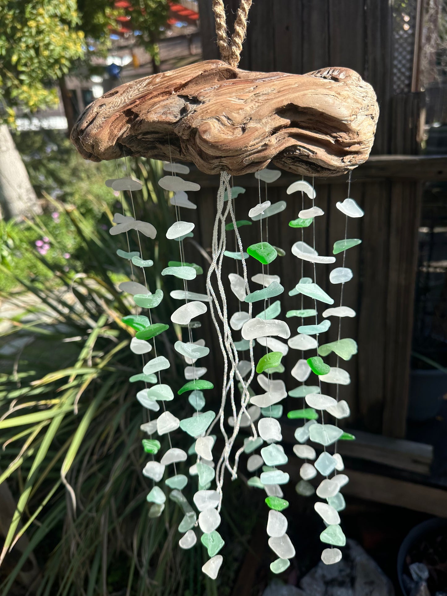 Multi Strand Jellyfish