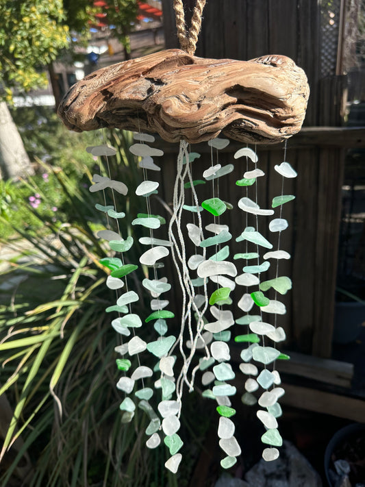 Multi Strand Jellyfish